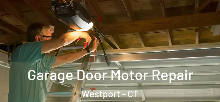  Garage Door Motor Repair Westport - CT