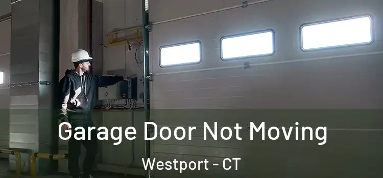  Garage Door Not Moving Westport - CT