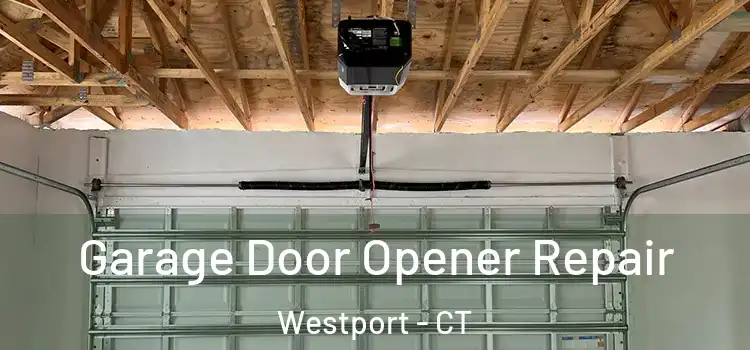  Garage Door Opener Repair Westport - CT