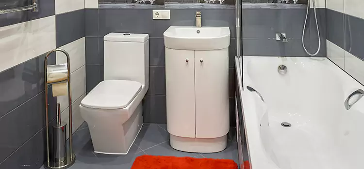Hansgrohe Shaving Mirror Westport