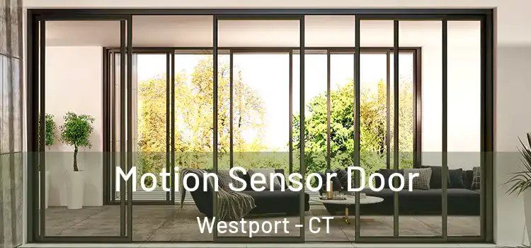 Motion Sensor Door Westport - CT